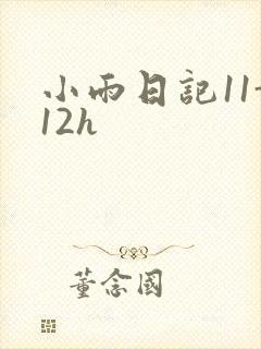 小雨日记11-12h