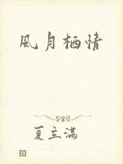 风月栖情
