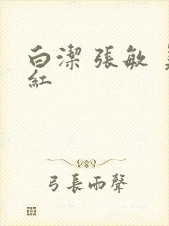 白洁 张敏 美红