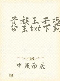 贵族王子巧遇穷公主txt下载