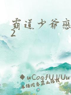 霸道少爷恋上我2