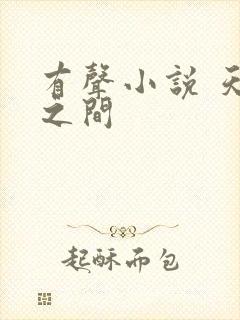 有声小说 天地之间