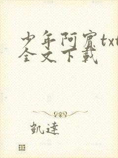 少年阿宾txt全文下载