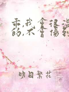 乖,我会很温柔的,不会伤到你小说