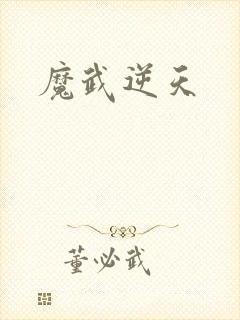 魔武逆天