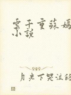 云千重苏嫣然的小说