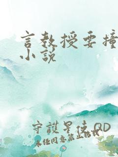 言教授要撞坏了小说