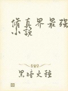 修真界最强坑神小说