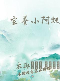 家养小阿飘殿下