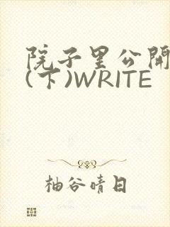 院子里公开惩戒(下)WRITE