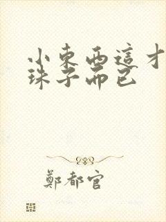 小东西这才一颗珠子而已