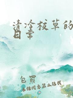 清冷校草的抹布日常