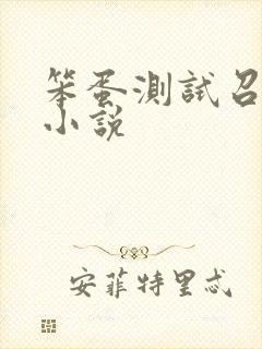 笨蛋测试召唤兽小说