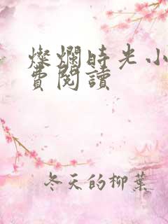 灿烂时光小说免费阅读