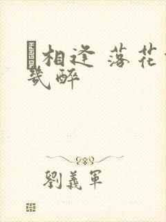 囍相逢 落花能几醉