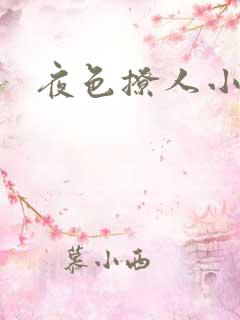 夜色撩人小说