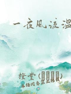 一夜风流温暮生