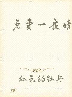 免费一夜晴交友