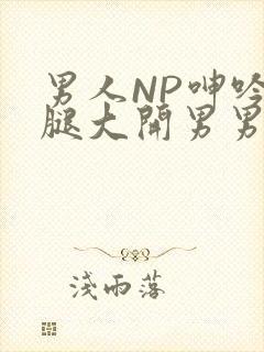 男人NP呻吟双腿大开男男小说