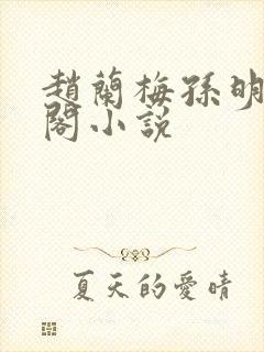 赵兰梅孙明笔趣阁小说