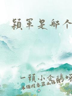 颖军是哪个军阀