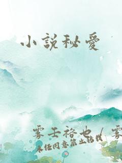 小说秘爱