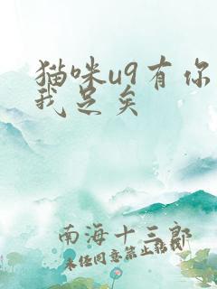 猫咪u9有你有我足矣