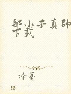 那小子真帅小说下载