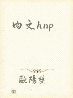 肉文hnp