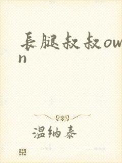 长腿叔叔owen