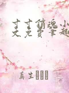 寸寸销魂小说全文免费笔趣阁