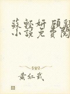 苏轻妍 顾辞笙小说免费阅读