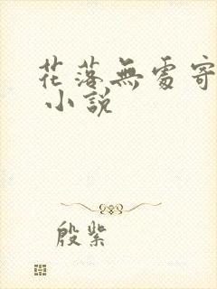 花落无处寄相思 小说