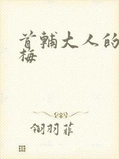 首辅大人的小青梅