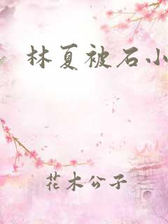 林夏被石小猛