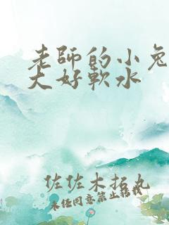 老师的小兔子好大好软水