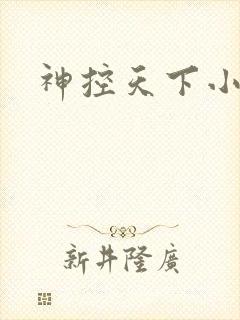 神控天下小说