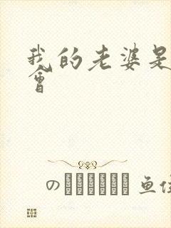 我的老婆是黑社会