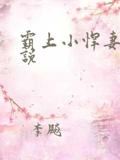霸上小悍妻 小说