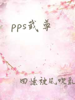 pps武尊