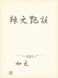 辣文艳说