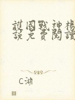 护国战神杨风小说免费阅读