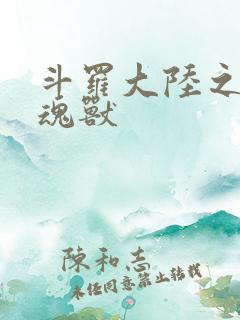 斗罗大陆之最强魂兽