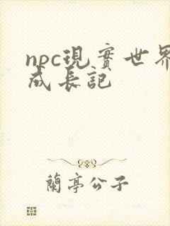npc现实世界成长记