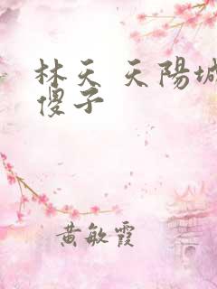 林天 天阳城 傻子