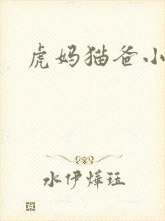 虎妈猫爸小说