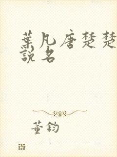 叶凡唐楚楚的小说名