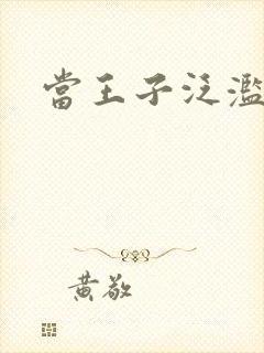 当王子泛滥之时