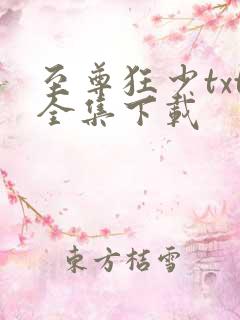 至尊狂少txt全集下载