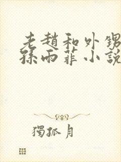 老赵和外甥媳妇孙雨菲小说